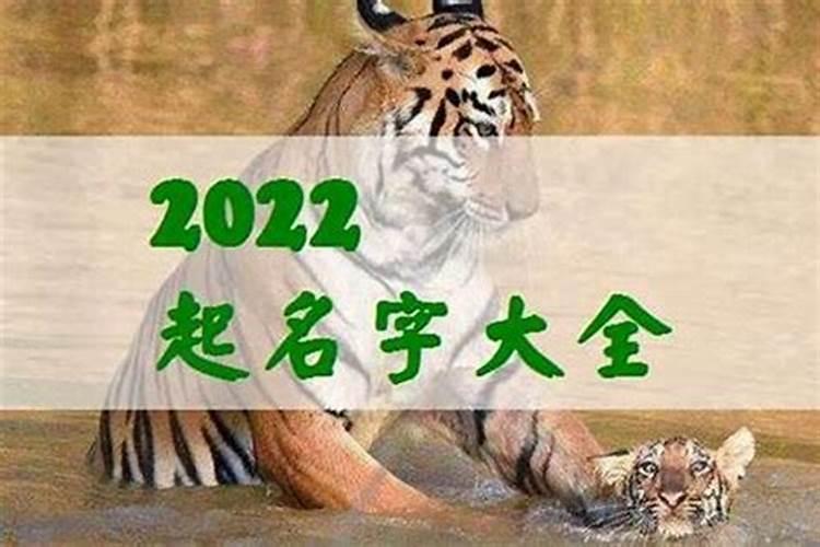 2023虎宝宝3月最火乳名