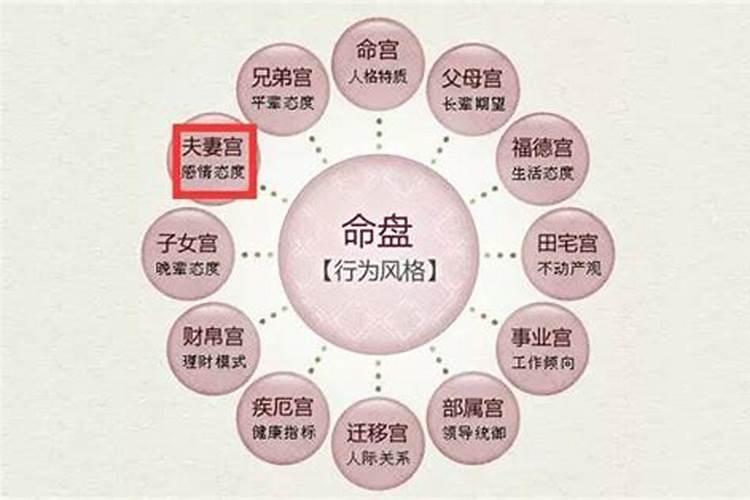 2024年合太岁的5个生肖