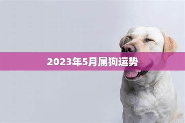 2023年属鸡人5月买车吉日