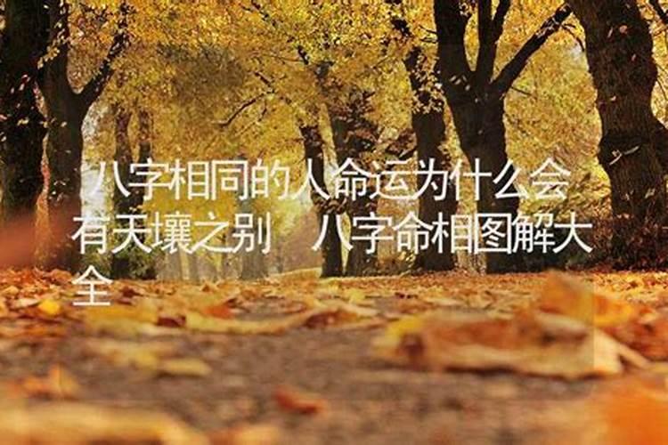 为什么相同八字，命运是如此不同