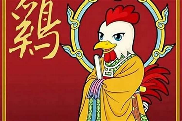 属鸡的今年注意什么