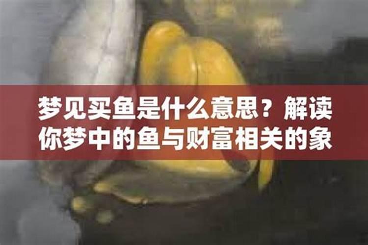 梦见朋友买鱼是什么意思呀