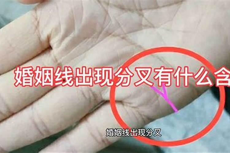 女人婚姻线分叉是什么意思