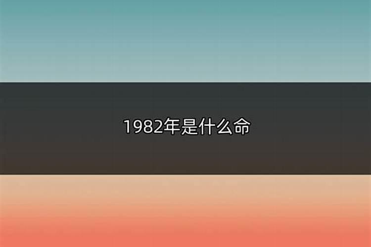 1982年是什么命