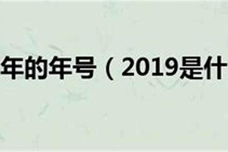 猪年是农历什么年号