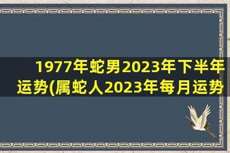 2001年的蛇在2023年的运势如何