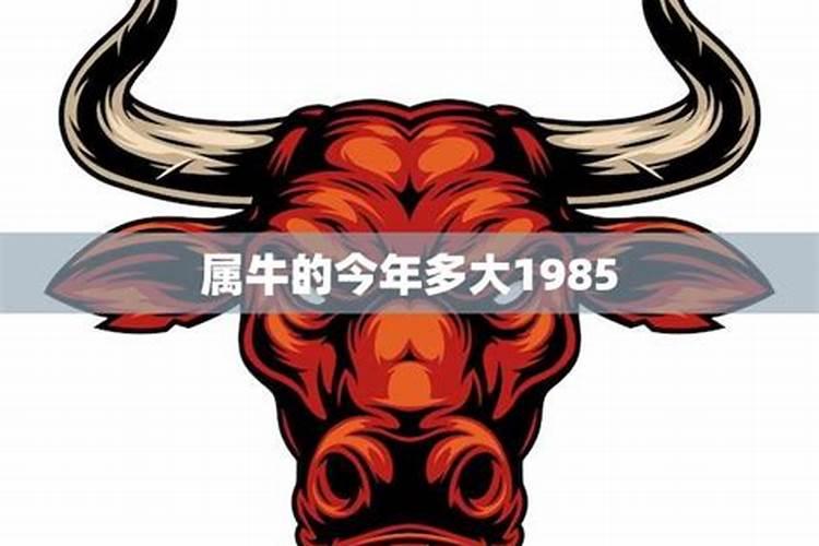 1985属牛农历十月出生运势