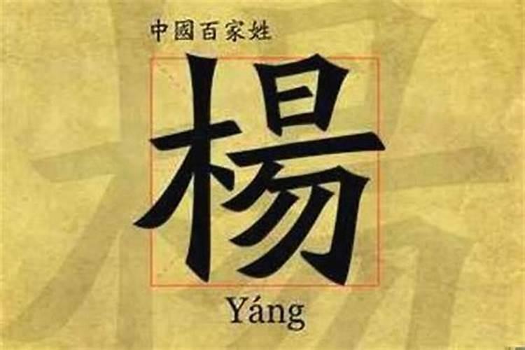 给宝宝取名字姓杨