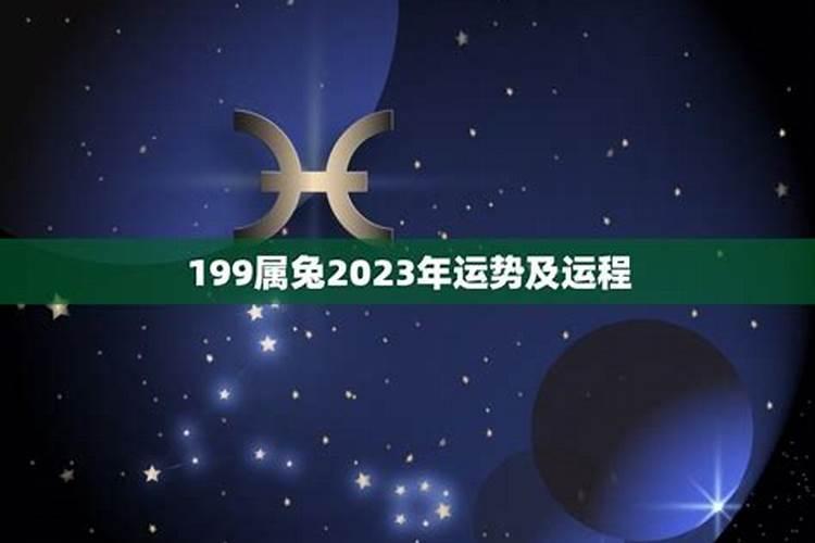 属兔在2023年运势