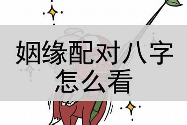 女八字没有官星怎么看姻缘