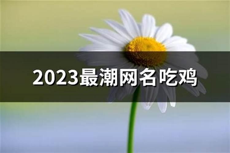 2023最潮网名吃鸡，2023最火的新网名有哪些女生