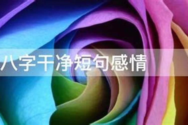 干净的情话原创句子