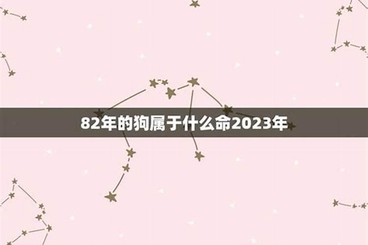 2023年狗什么命