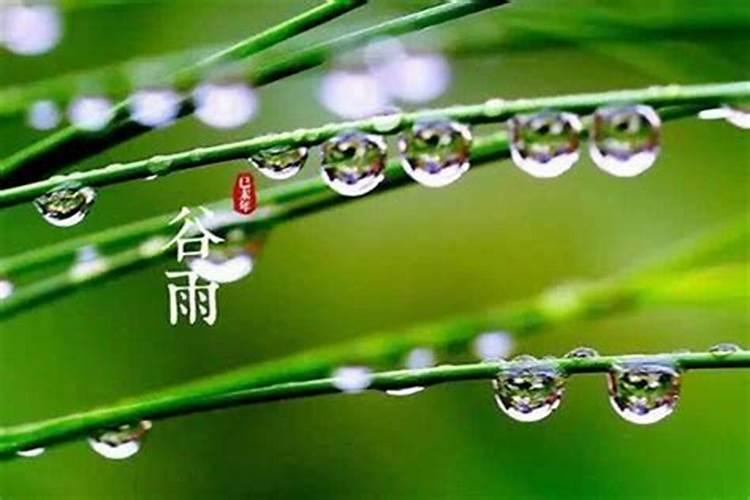 结婚时候下雨了有什么讲究