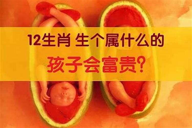 十二生肖生个属什么的孩子最富贵