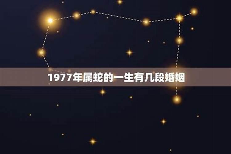 1977年属蛇的一生有几段婚姻