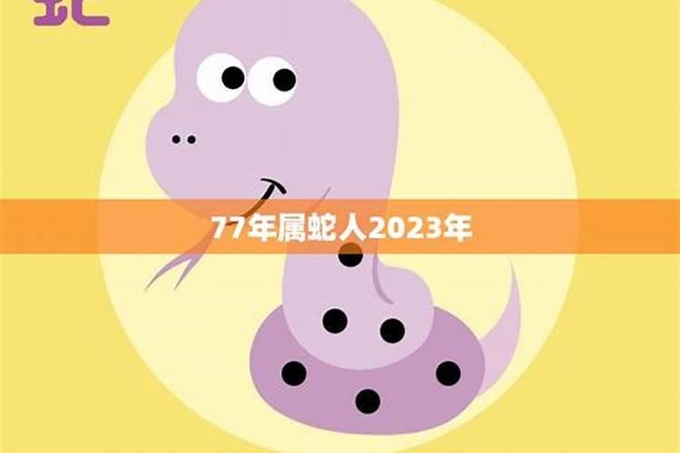 77年属蛇人2023年运势如何