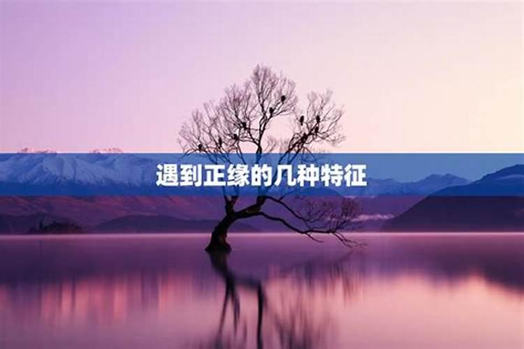 正缘出现的特征