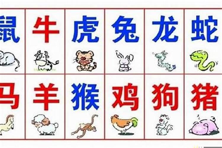 出生在清明节的虎宝宝叫什么名字