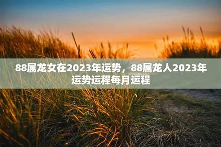 龙人的2023年运势运程