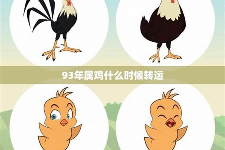 93年鸡什么时候转运哦