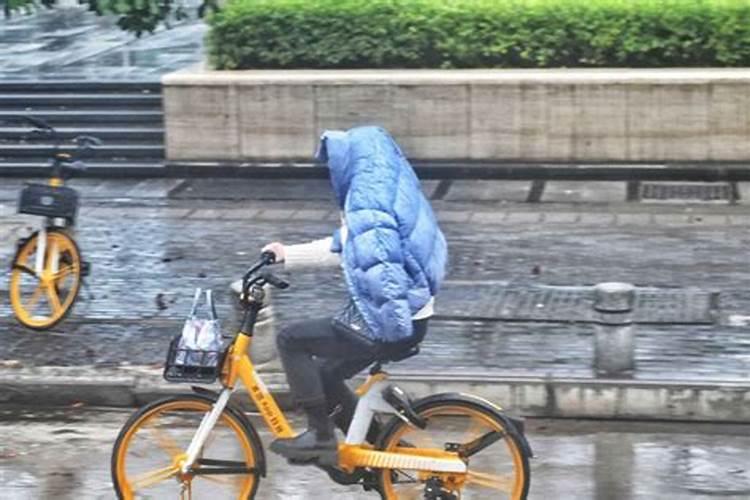 梦见骑车被雨淋是什么意思