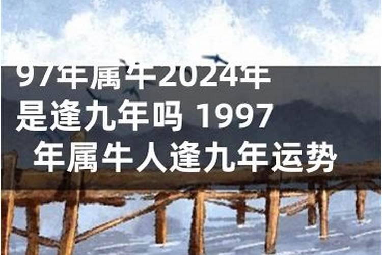 鼠年属97年属牛的运势怎么样