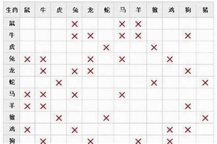 手机号码数字最佳组合