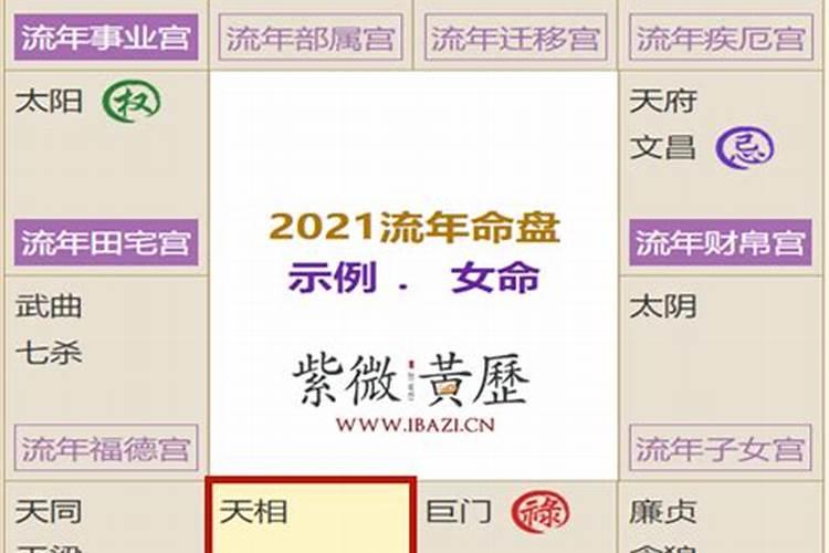 2021年紫微流年命盘