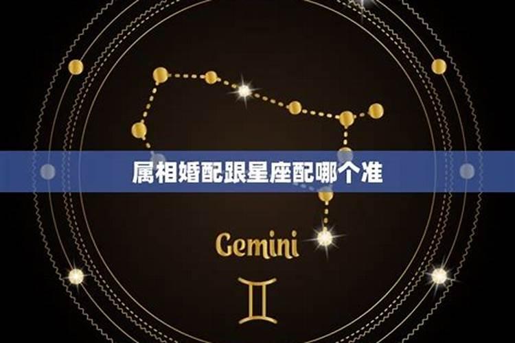 大家是相信，属相还是星座呢？哪个更准确一些