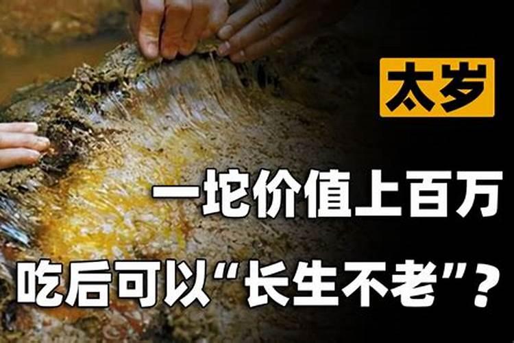 太岁的功效和作用百度百科