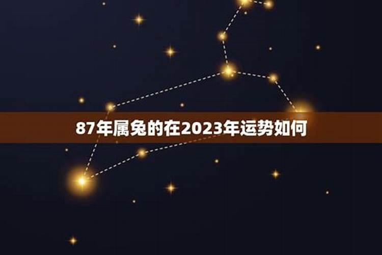 87年属兔的在2023年怎么样？