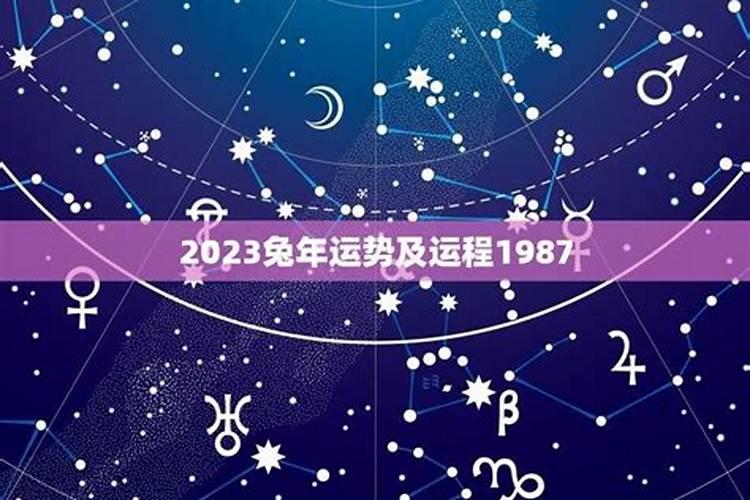 属羊之人2023年运势如何