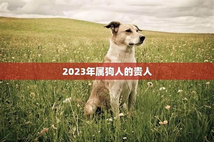 2023年属狗的重大贵人