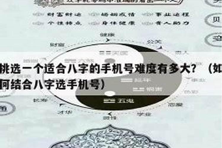 怎样根据八字选手机号