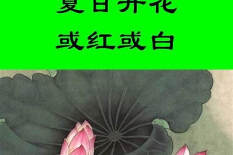 种花古语怎么说