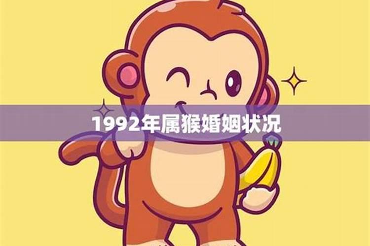 属猴男1992年婚姻状况