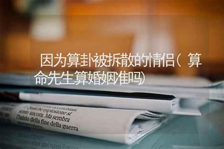 梦见把猫扔下楼是什么意思啊