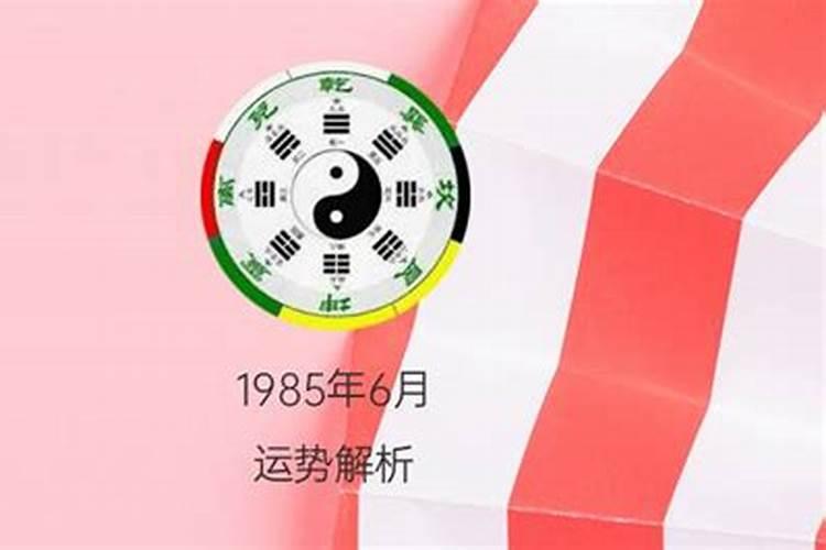 1974年6月出生的人是什么命