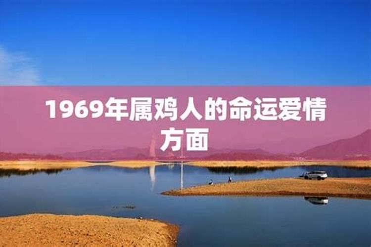 1969年属鸡人的命