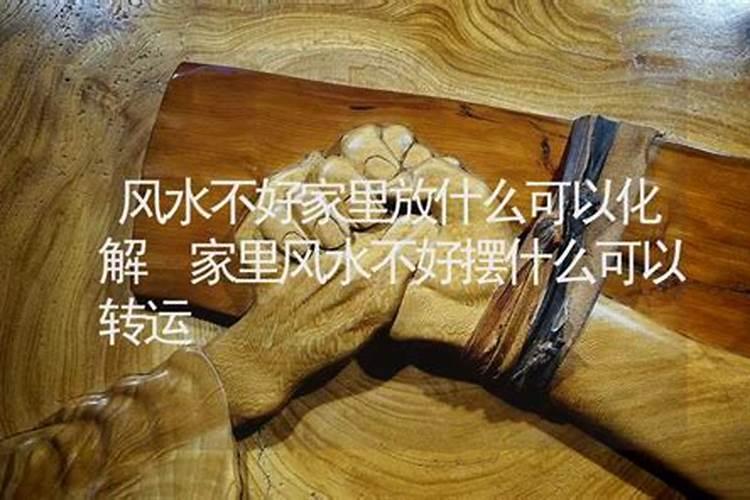 事业转运家里摆什么