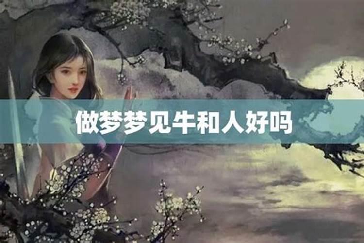 梦到牛好不好请高人指点