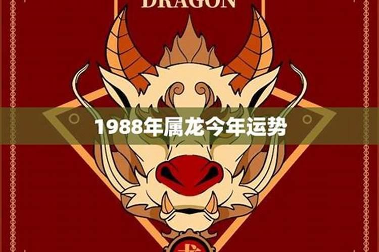 1988年生人今年运势