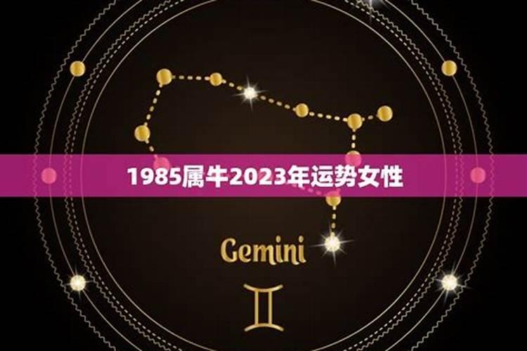 属牛2023年运势女领导