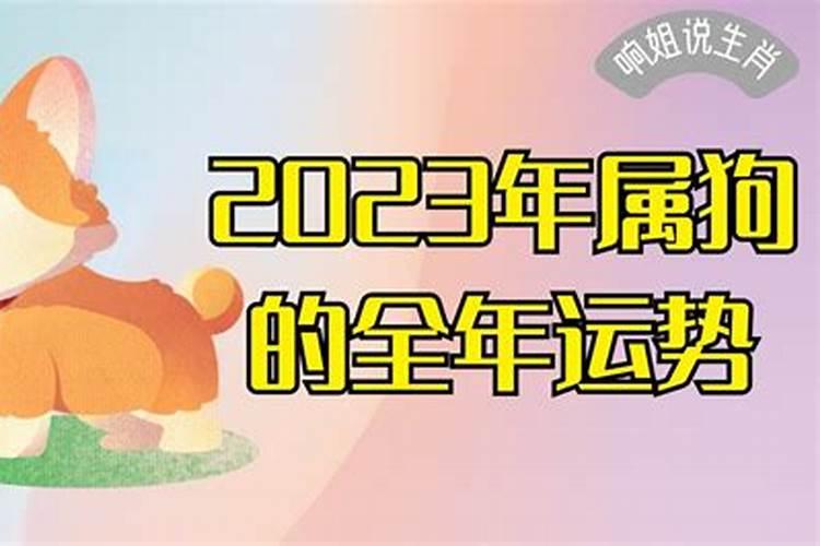 2023年的属狗运势方位