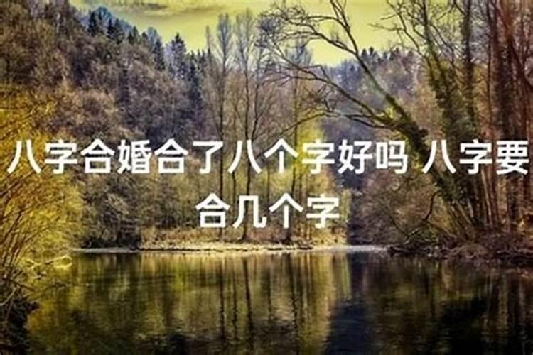 八字合婚上等婚姻，两人八字合婚好吗