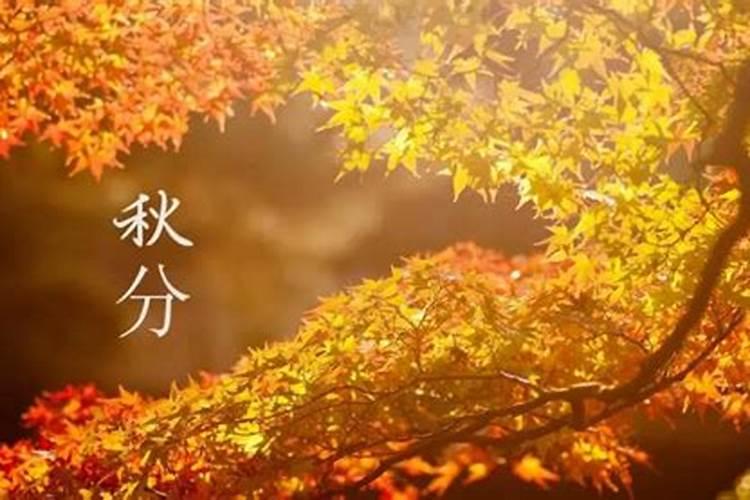 秋分节几点