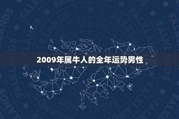 2009牛年运势每月运势