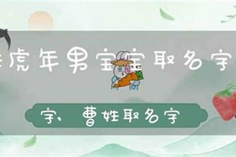 虎年男宝宝取名字大全集