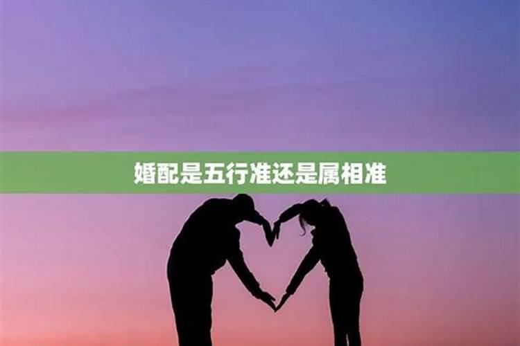 婚配是属相准还是星座准